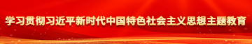 日老老b学习贯彻习近平新时代中国特色社会主义思想主题教育